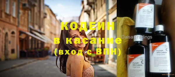 гашик Алексин