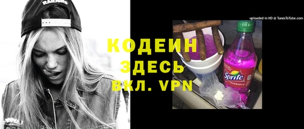гашик Алексин