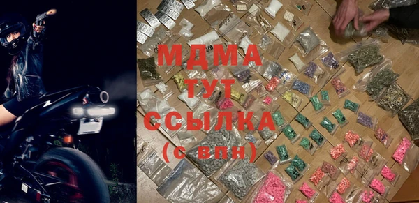 гашик Алексин