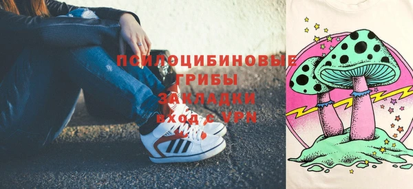 гашик Алексин