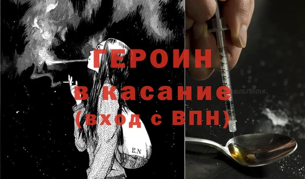 гашик Алексин