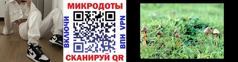 купить   Волжский  mega зеркало  Псилоцибиновые грибы Psilocybine cubensis 