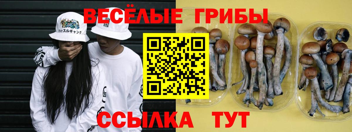Волжский  Псилоцибиновые грибы ЛСД  Вход с VPN 
